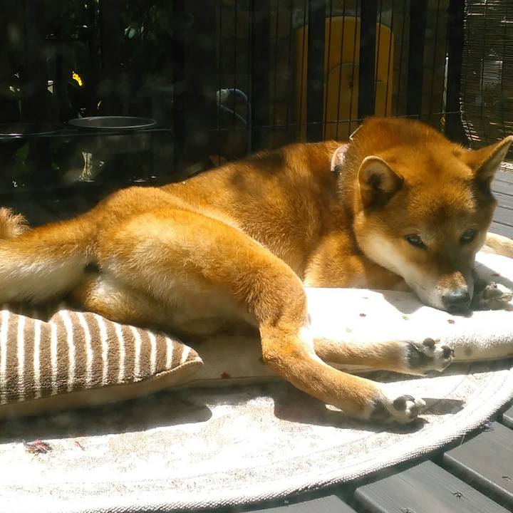 C00d29a2 d230 41a4 b550 2032d92e4bc4 1524105633780