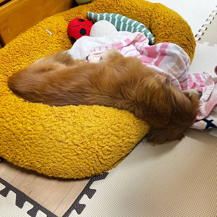 C00d95cd e7da 40e8 a307 0bbdd6ba25bb 1668335302979