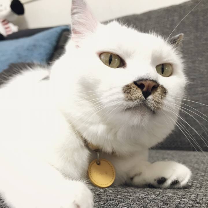 C00da8f5 efe2 486d 9df8 1350430cca54 1560920986958