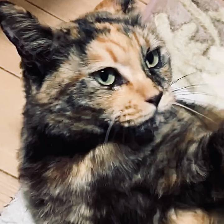 C00db890 8a03 4c16 b09e c26c2a4fea13 1736713949335