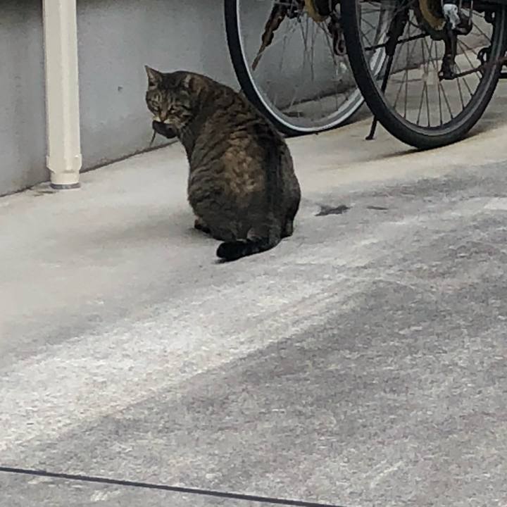 C00dc125 9eb9 4a4a ab6f 34ffb0ecb919 1522140534420