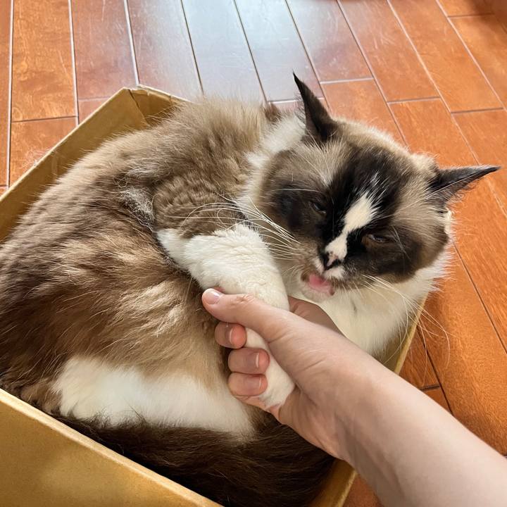 C00deabb 7992 4963 af5d f6cca71c0d56 1660465891539