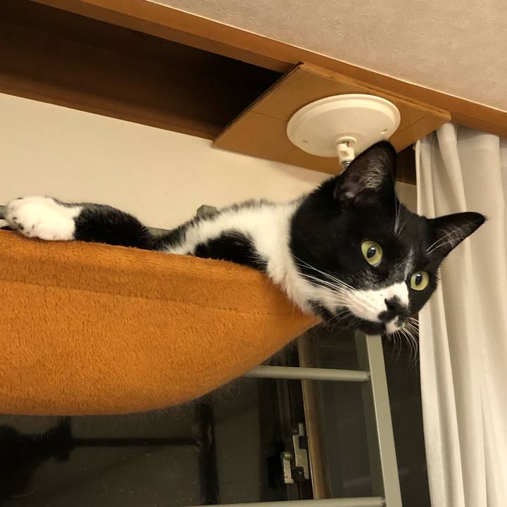 C00df7fa aadf 482a b522 bfa78a9385f8 1576209131049