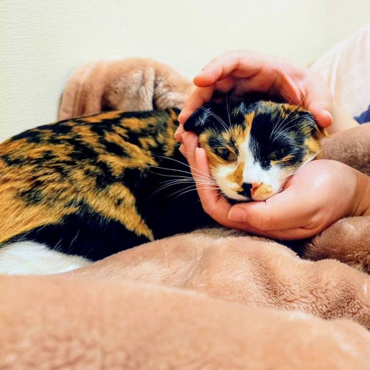 C00e1889 8c20 4155 93b1 9f92ee964b6b 1771664277013