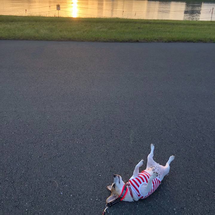 C00e8f1f b3d1 4d9f 9d4d ff515dbf7b6f 1564440573303