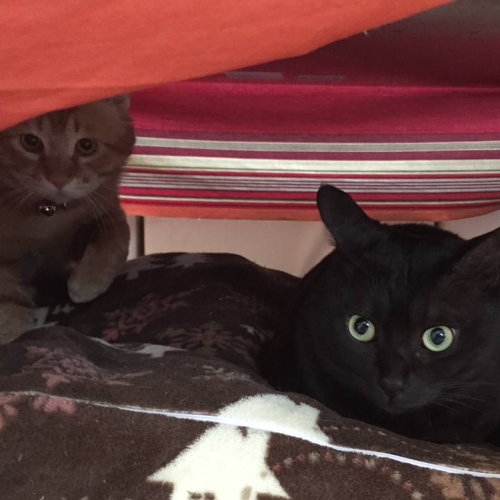 C00e9f82 fd21 41b2 a957 583045346145 1525006087562