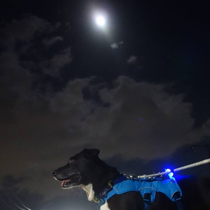 C00ea418 ea87 4d06 8a80 361e4ecaa944 1667819199099