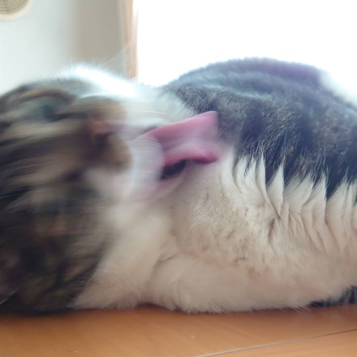 C00eba74 83b8 4e79 84d4 ad599239405f 1623398822901