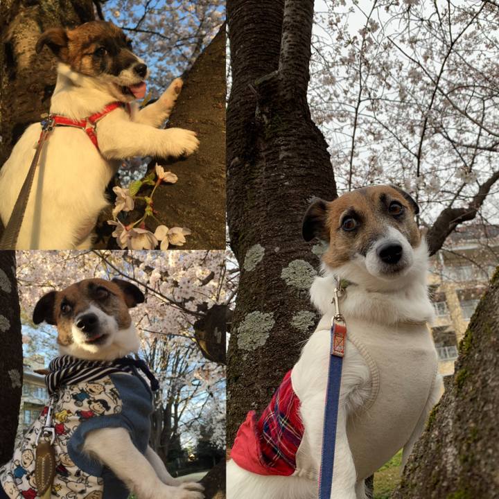 C00eeed4 8103 446f 991f 9a0944db2731 1648299750896