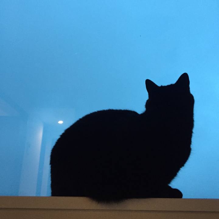 C00f0add aa79 4563 bddb 910db933a60b 1593079869030