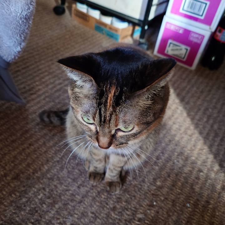 C00f0e25 80ca 4726 868d 05449716f4be 1766449545065