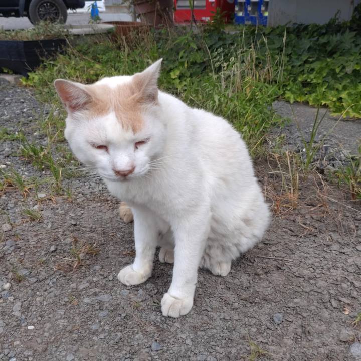 C00f1ffe dca5 4750 8007 336418e04cd9 1754005335212