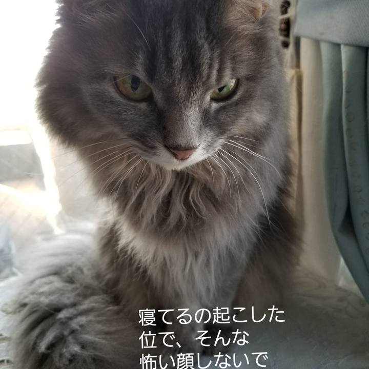 C00f30b6 e302 44ff 8505 e7829bc60cfe 1540504111261