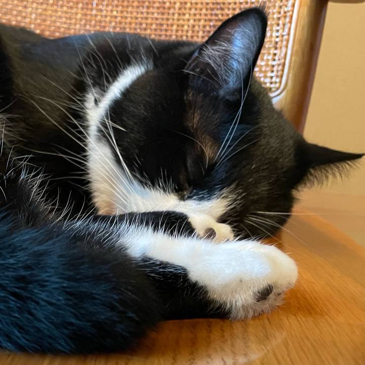 C00f4016 54f8 4758 a634 1222f31855e5 1658194270692