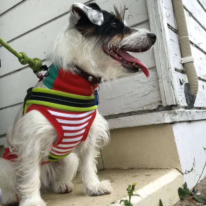 C00f5298 97bd 476b b534 06184a0f8600 1535764354038