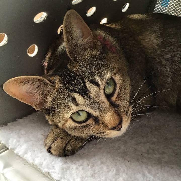 C00f75a8 2caa 4859 8d82 134874b19a55 1588749624933