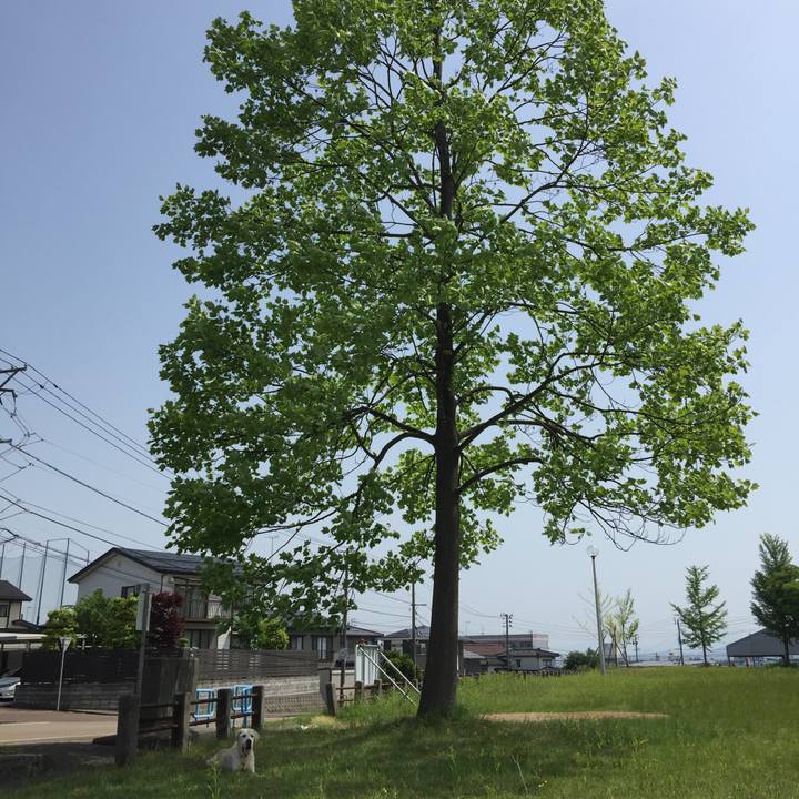 C00f8927 381a 4df4 a057 8897307eaffd 1527080634175