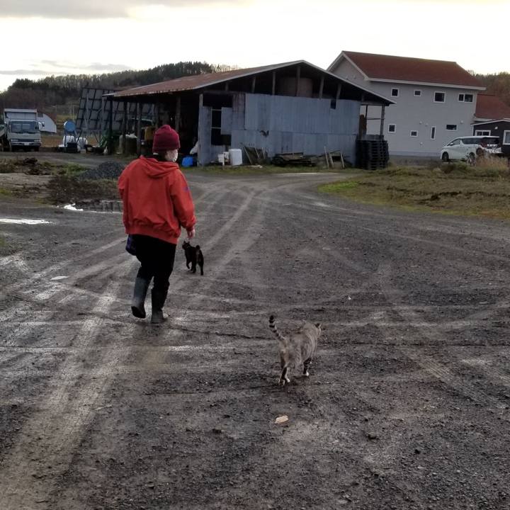 C00f9014 bc25 49a3 a115 28ebc3b962de 1668522861769