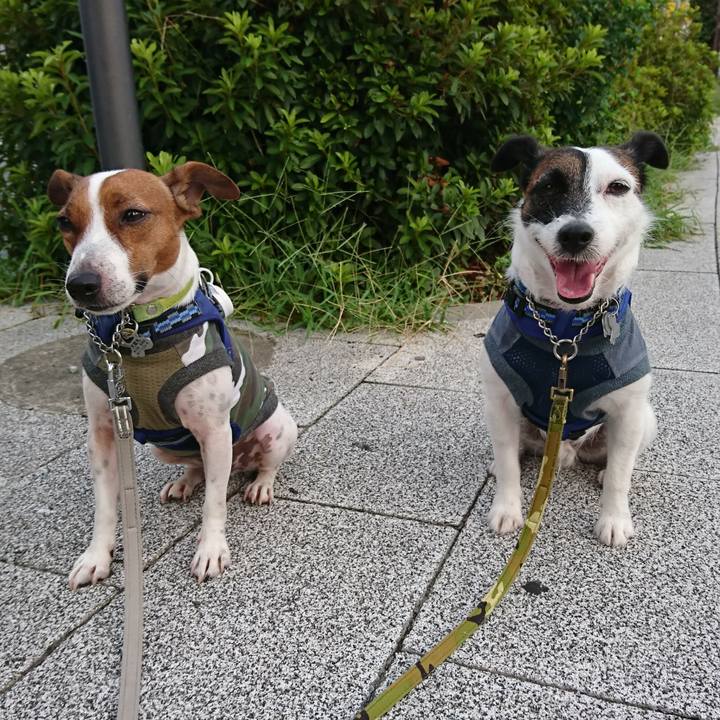 C00f929d 7237 47dc 8f64 dd61f5080f2c 1566856077906