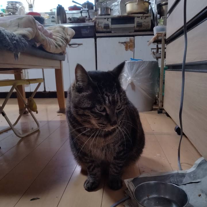 C00fa9c7 1d6b 4f0a 9155 065e30ef0339 1674431176205