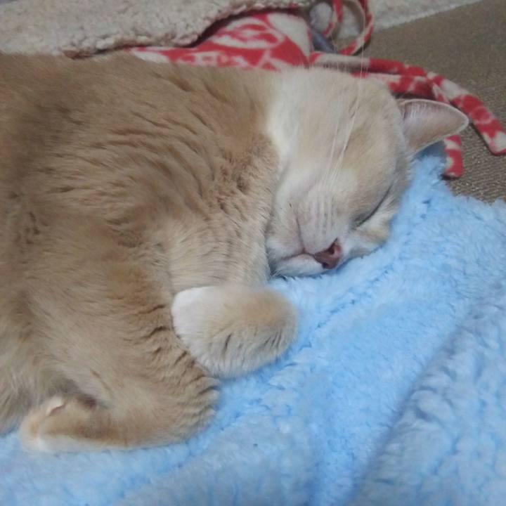 C00facb7 359d 4f95 8464 cf37656934a7 1518256727965