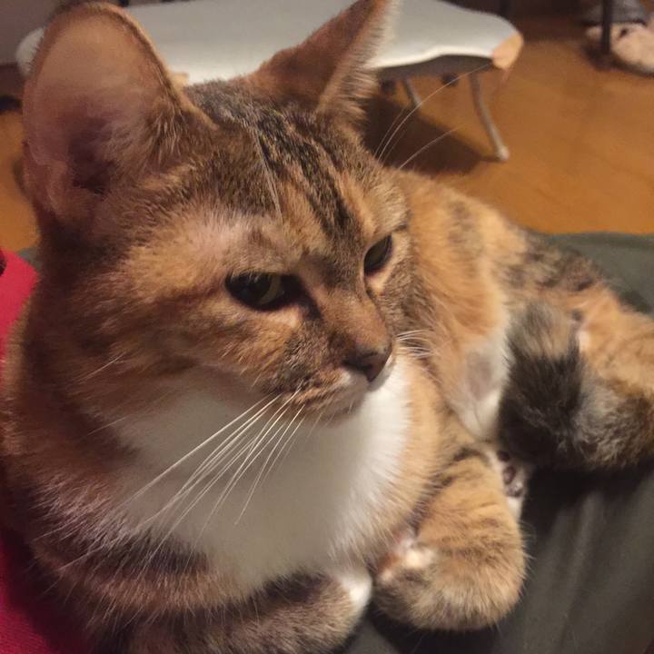 C00fb8ef df97 408e 8b25 21cc9ad90030 1573648417861