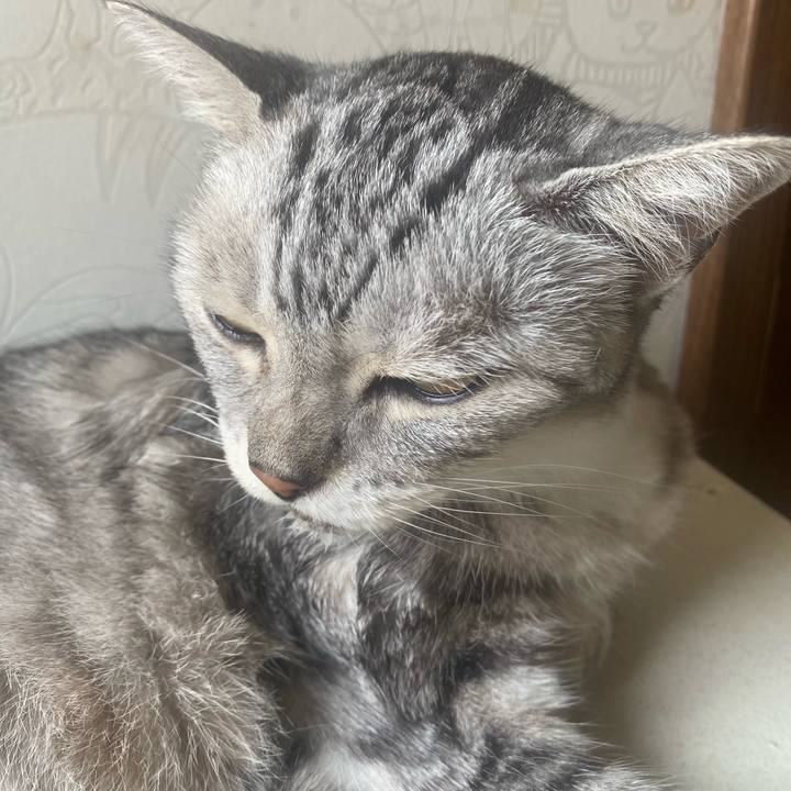 C00fbcce 2176 4c2a aea0 ee9910437ad7 1723427019070