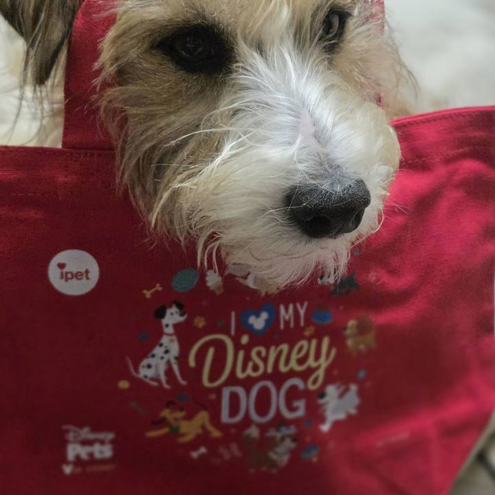 C00fc8eb bdc7 4ac9 a031 98a35a650fdd 1774077009388