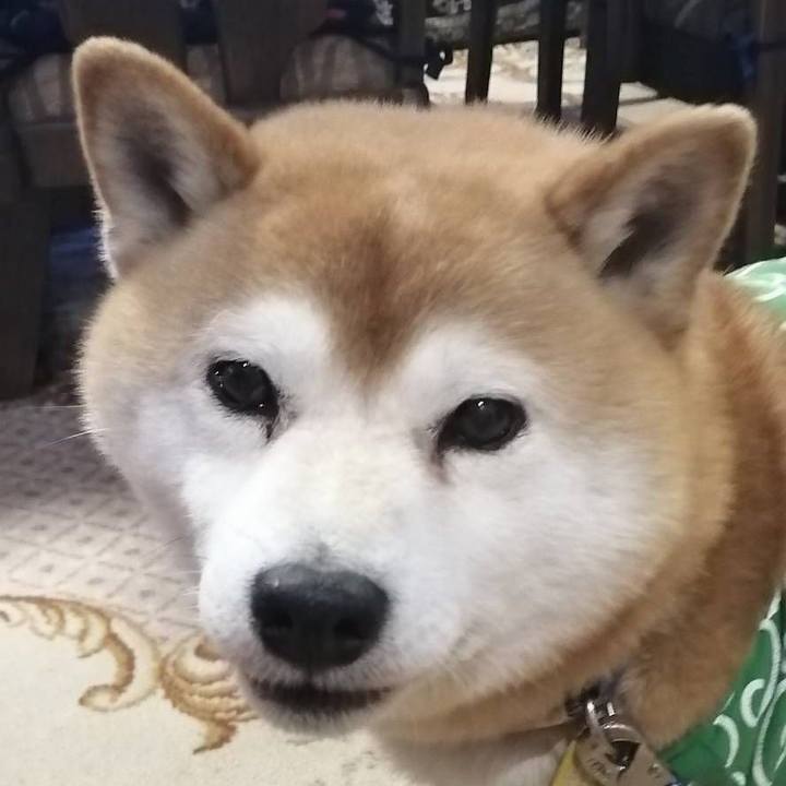 C0101d78 e46c 4591 9814 7c66c25bb75d 1587116031624