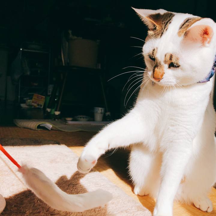 C0103eb7 330a 4f1b bff2 cc29fa65d01d 1515337175228