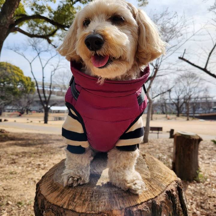 C01043a1 6986 4507 8250 53006d0c8d87 1770699696680