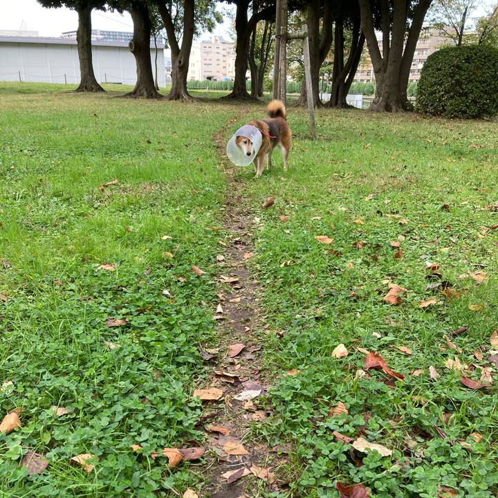 C010b0b5 9e48 4ca8 8caf 44c835a999a1 1666843126233