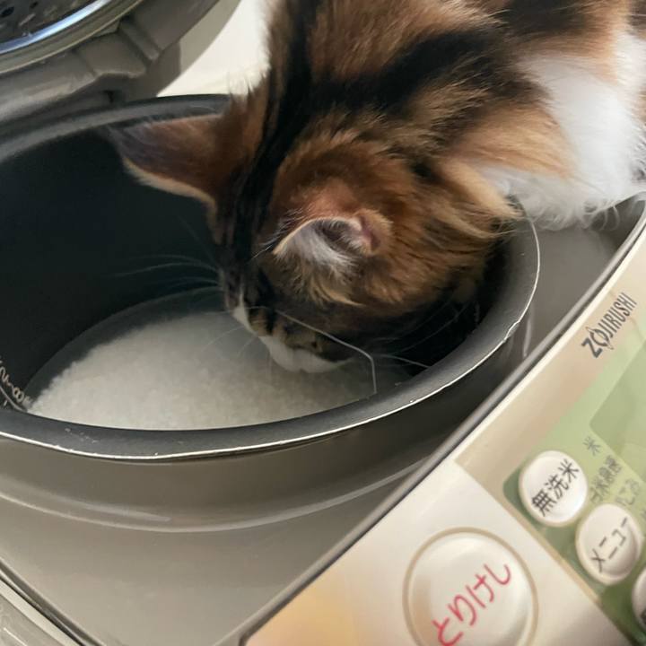 C010bc68 7283 47d7 a6cc 5a1ef4d93023 1648419048514