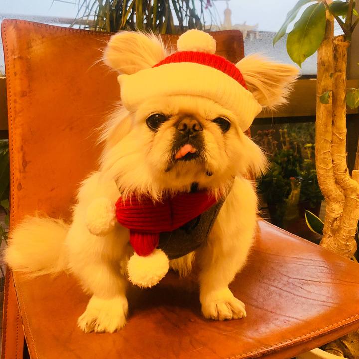 C010c0f5 4e3c 4a55 a998 4be82a5dd48d 1608903369720