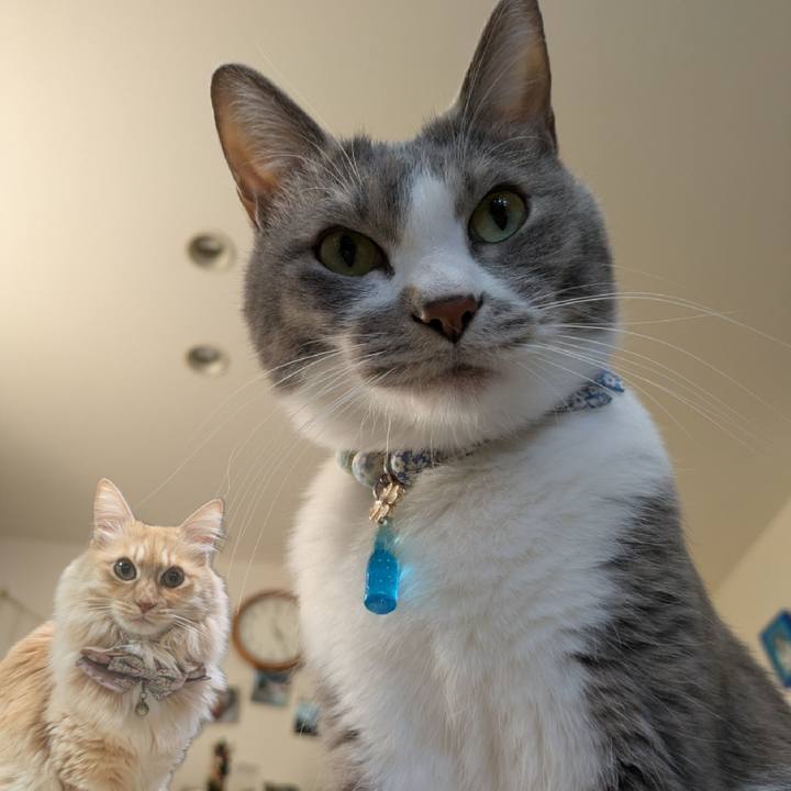 C0110662 6d5f 4858 be64 e5ff622382ea 1740405140025