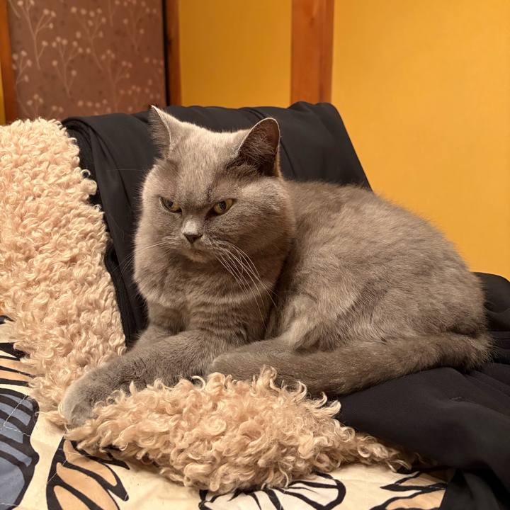 C01145a3 a647 4af6 a24a 1b1ce66dffe1 1764246034501