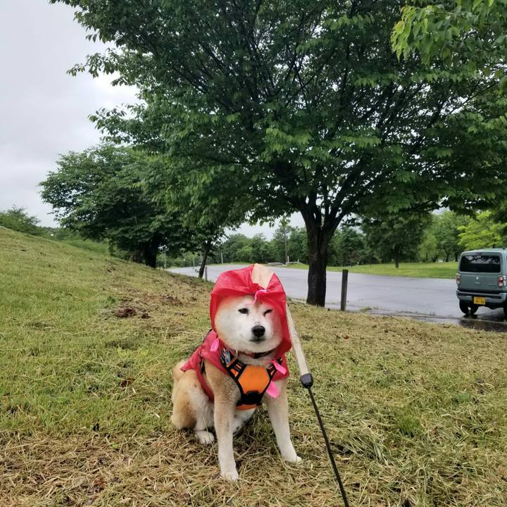 C01146d3 0408 4176 94d0 5bc355d0cbb1 1715580360613