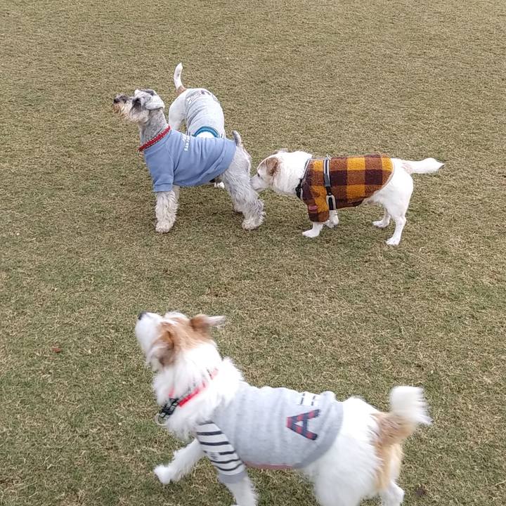 C01149af f3bd 4891 8c34 250f486aaa0d 1575204832744