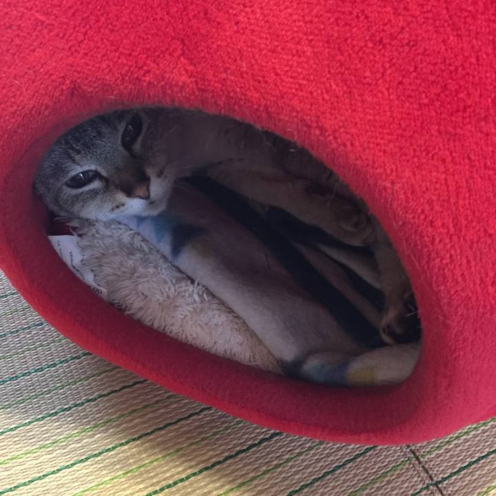 C0116b5f 270e 4c68 9f9b 0a42b50afe33 1528670221448