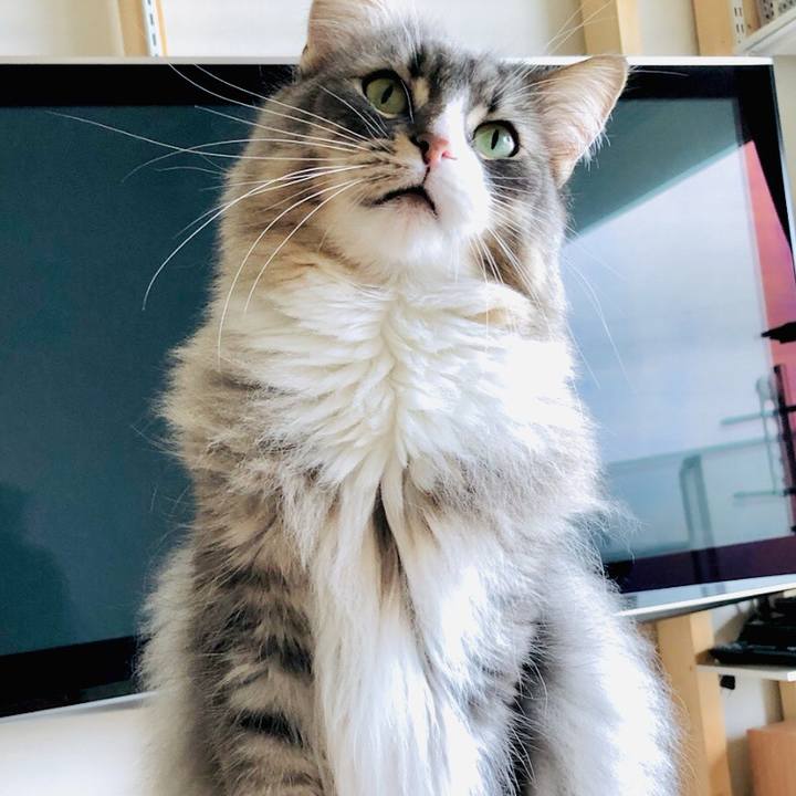 C0116cdb 983a 418c a6c1 cd9dfbbd016a 1572742356116