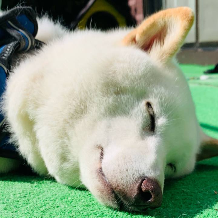 C011abf2 4c2a 4138 b03d 1756f1ae4e8e 1632542580205