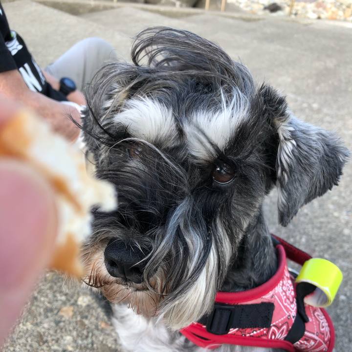 C011b88c 4d1a 4967 88a5 0fa8f23e3219 1591492893901