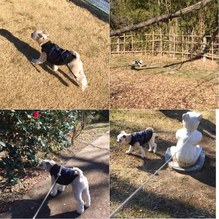 C011c533 61eb 4193 9448 d93fb60c1c0b 1547455494299