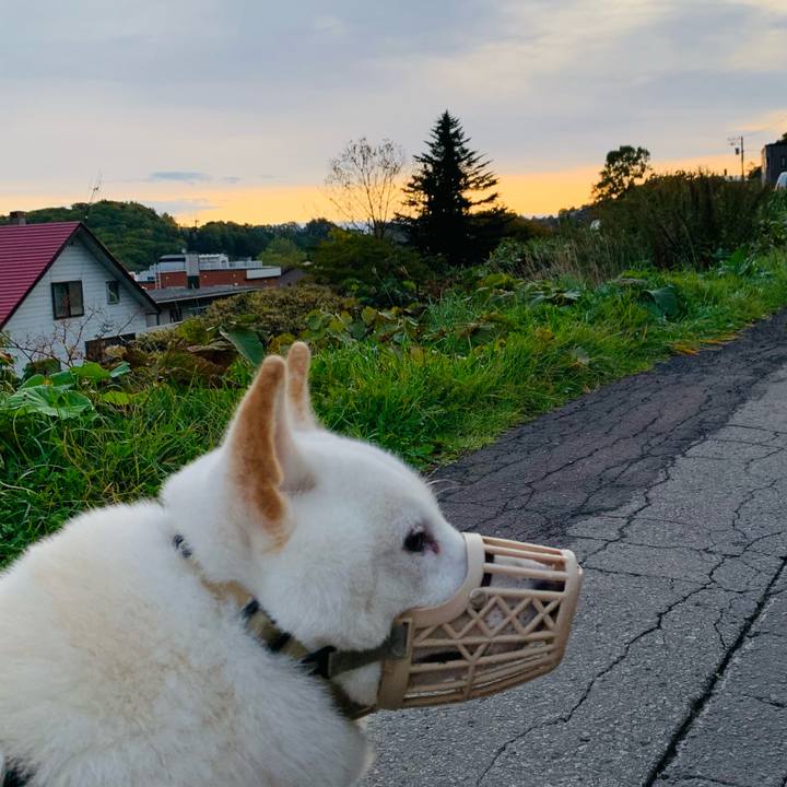 C011f2f8 0175 4450 917c 3e400035def3 1602455225709