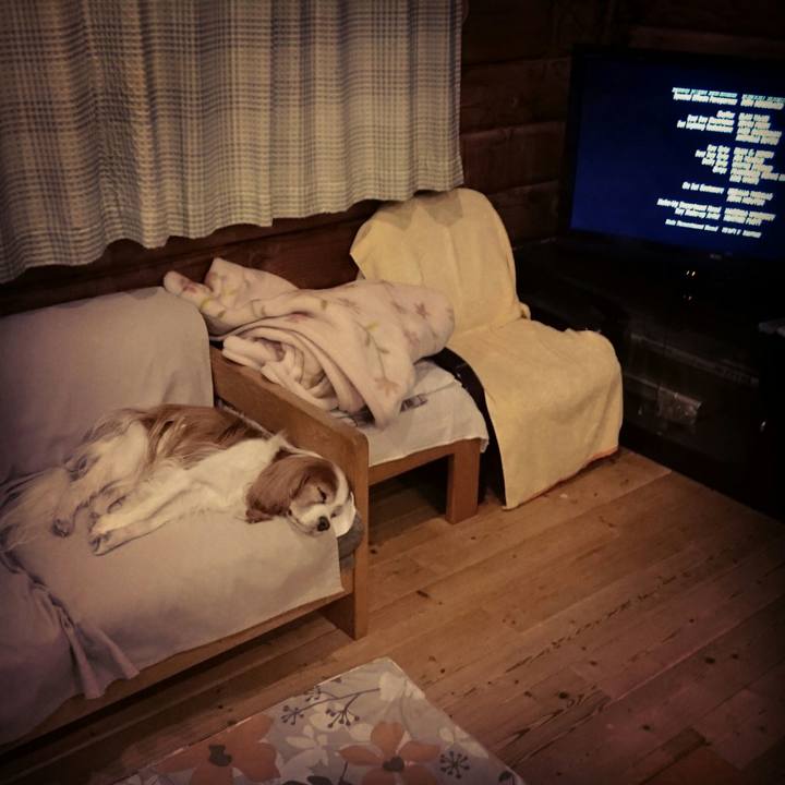 C011f7e2 6c74 461c a775 e7f20f3e181f 1541329486637