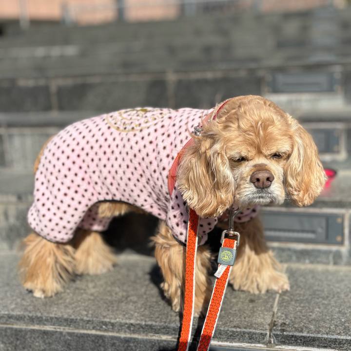 C0122ba7 0125 4be9 9d75 0893acc7096b 1770035966668