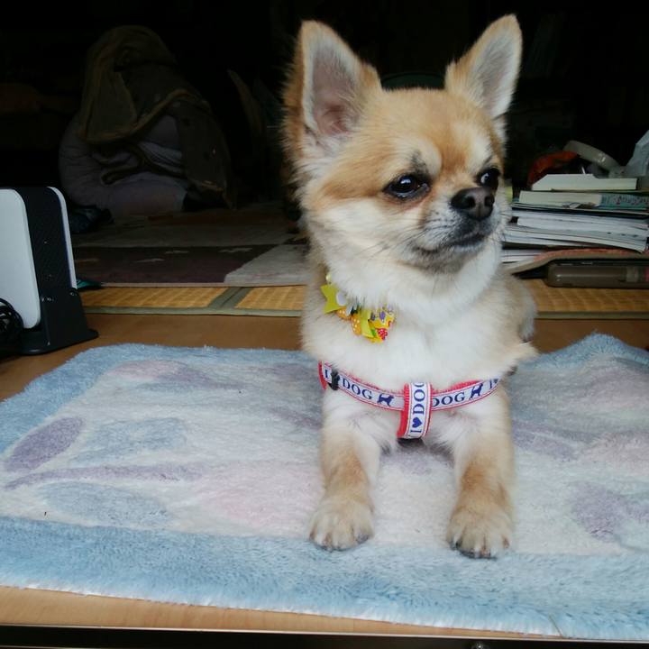 C01237d8 751e 45bf 804e 330ff42da002 1523089360516