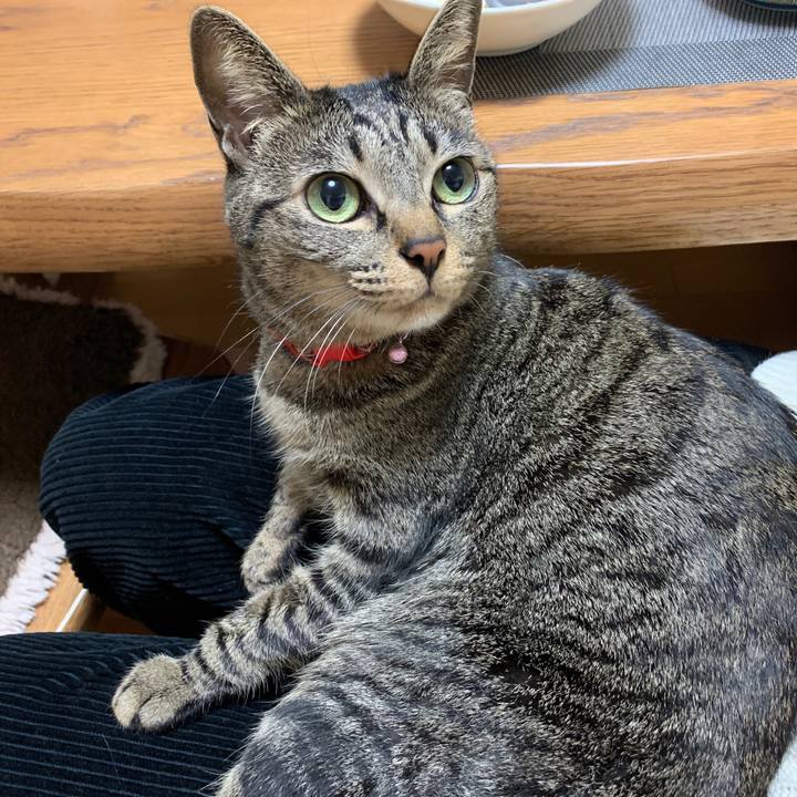 C0123b23 c6e3 4334 bb11 37bb2dd141f4 1549670830854