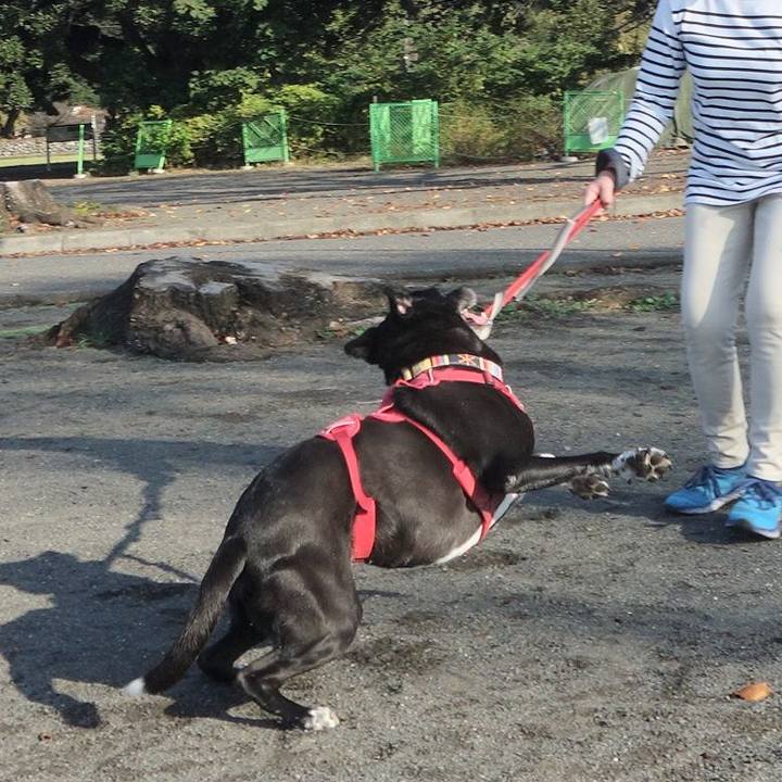 C01260ea acd2 4e74 9213 61666b71750b 1697157278224