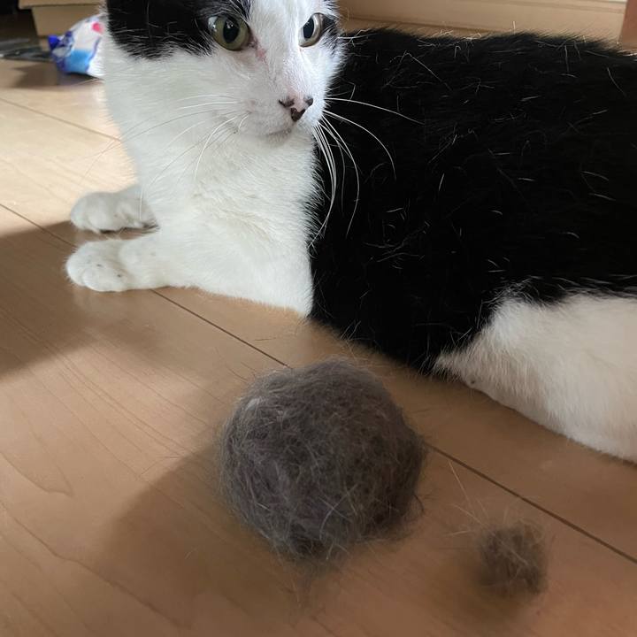 C0127611 540a 45f5 9529 9bad26bd3beb 1688182441151